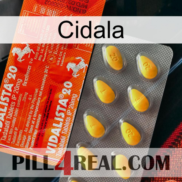 Cidala new01.jpg